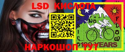 индика Мариинск