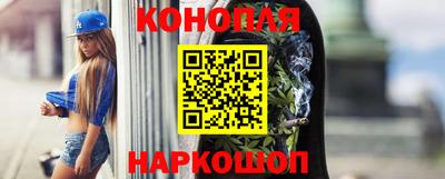 индика Мариинск