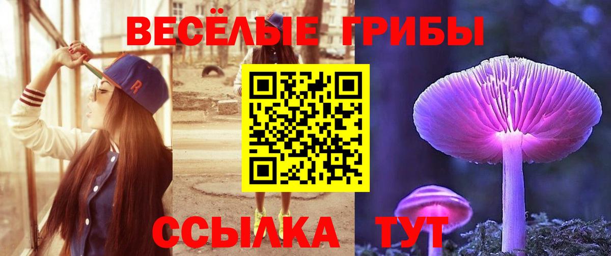 Галлюциногенные грибы мицелий  Вход с VPN  Балтийск 